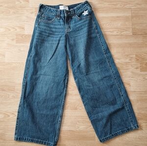 Hollister Low-rise Super Baggy Jean